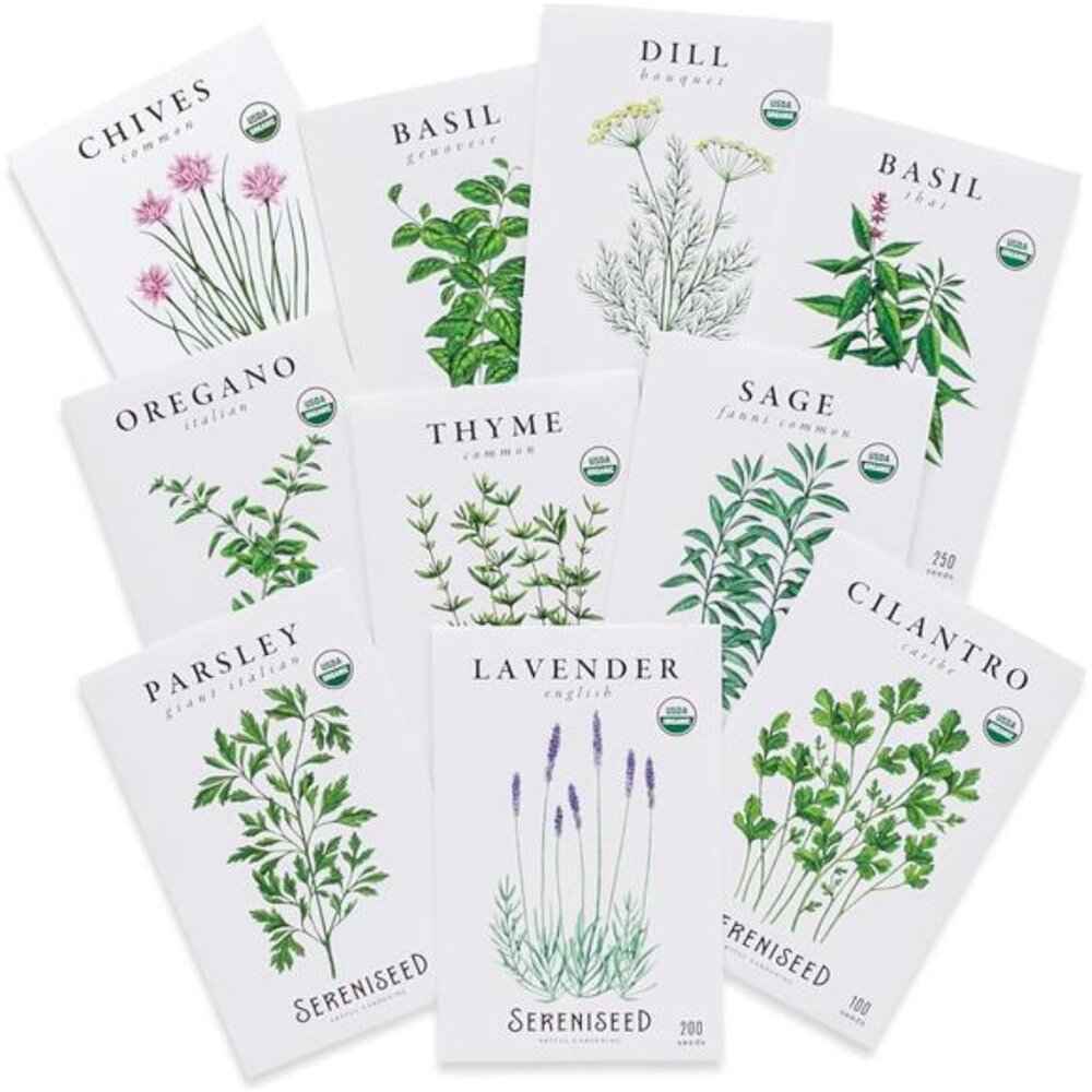 Certified Organic Herb Seeds (10-Pack) – Non GMO, Heirloom – Seed